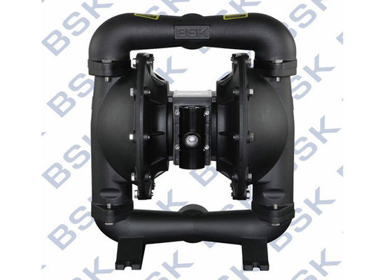 Vacuum Positive Displacement Pump