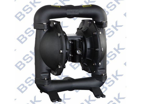 Vacuum Positive Displacement Pump